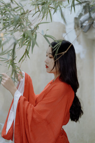 动漫美女光胸