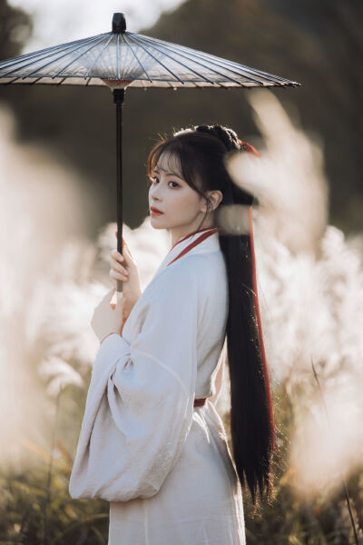 情谜睡美人剧情介绍