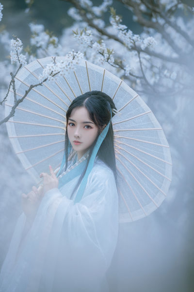 成全视频在线观看在线播放高清