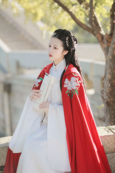 美丽姑娘视频观看免费完整版