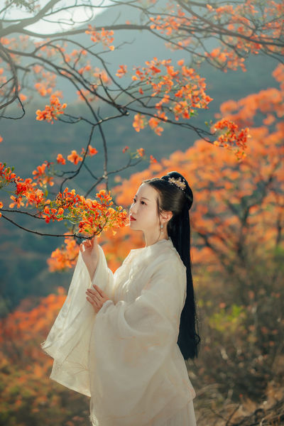 狂野少女在线免费观看