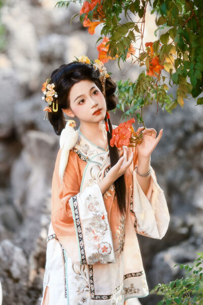 失踪少女在线观看