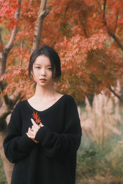 本运动漫路人怎会是少女漫主角